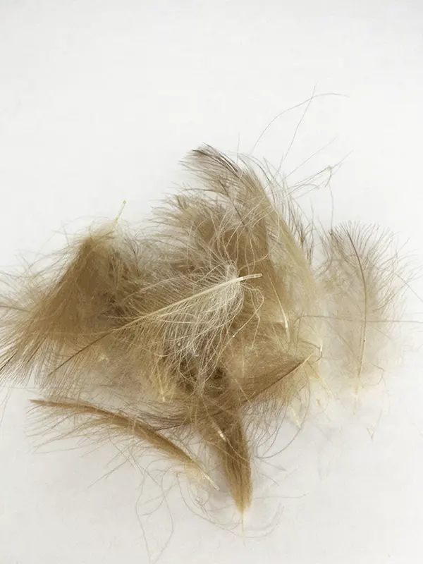 Hends - CDC feathers 