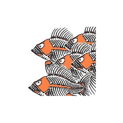 Fnf - Flyfishing