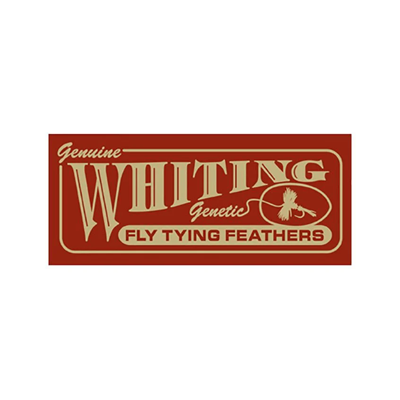 Whiting