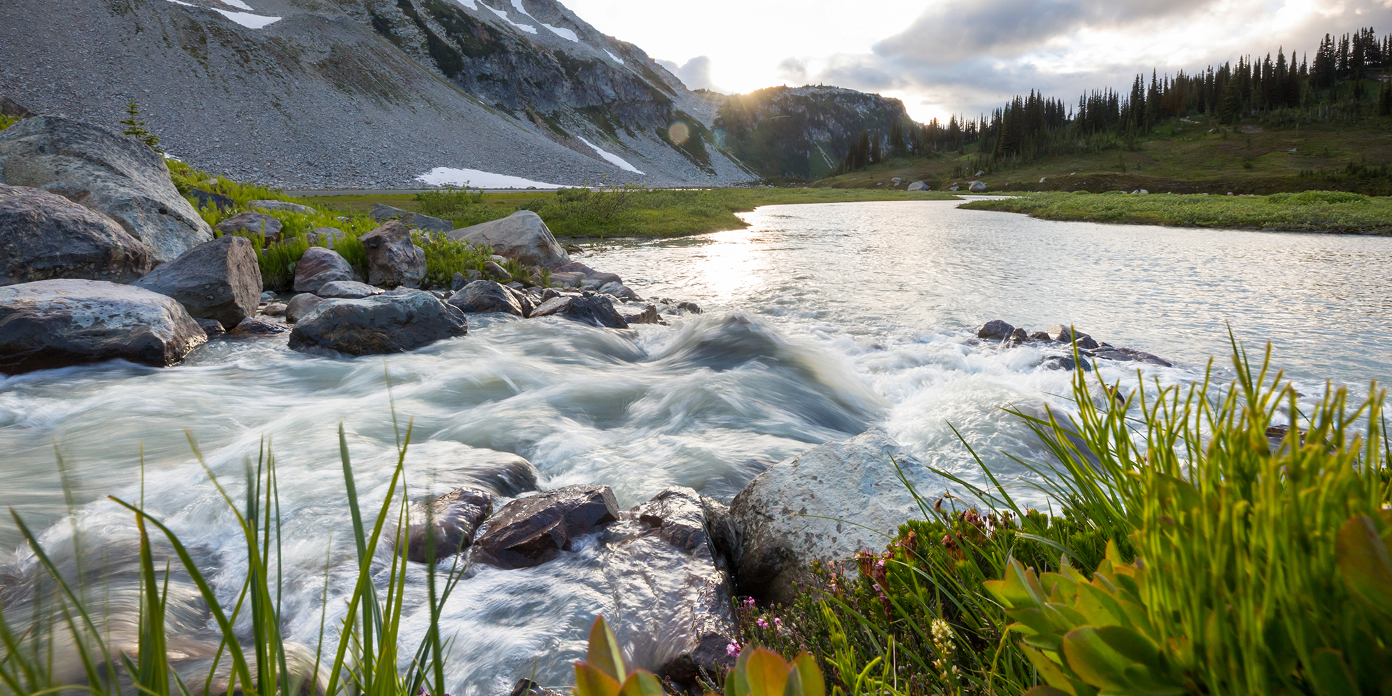Fly fishing